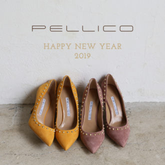 A HAPPY NEW YEAR 2019
