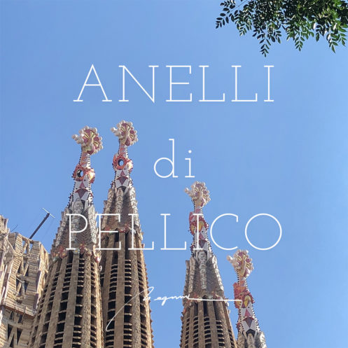 ANELLI di PELLICO