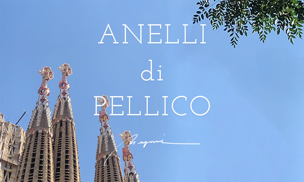 ANELLI di PELLICO