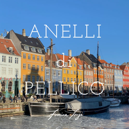 ANELLI di PELLICO