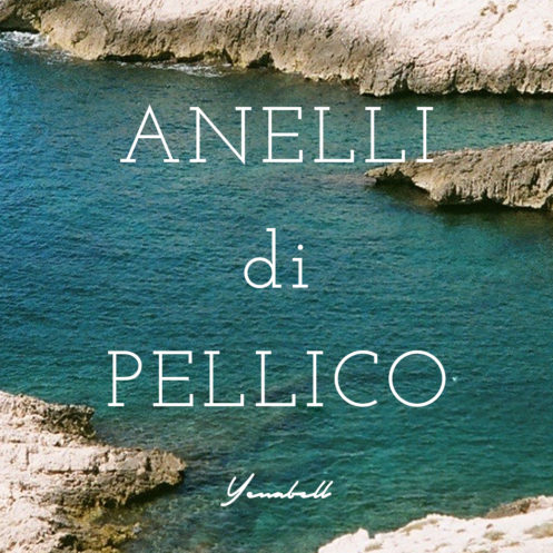 ANELLI di PELLICO