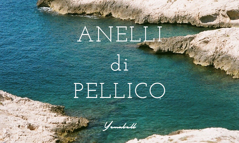 ANELLI di PELLICO