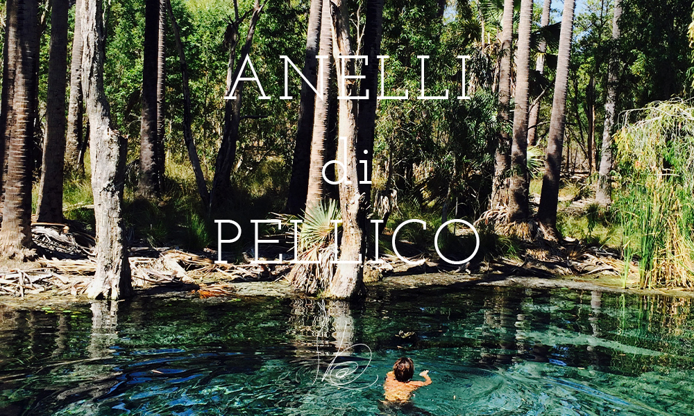 ANELLI di PELLICO