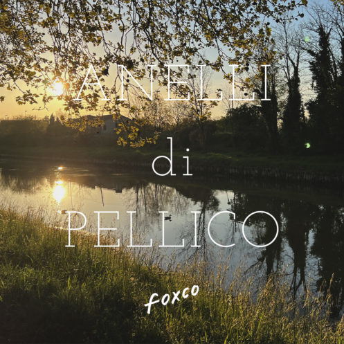 ANELLI di PELLICO