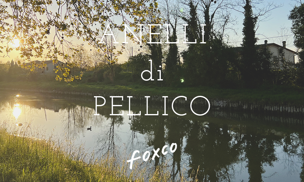 ANELLI di PELLICO