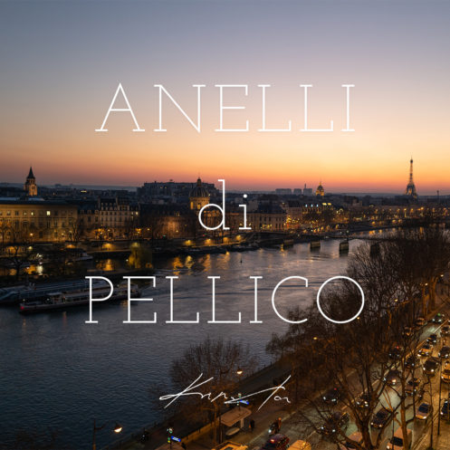 ANELLI di PELLICO