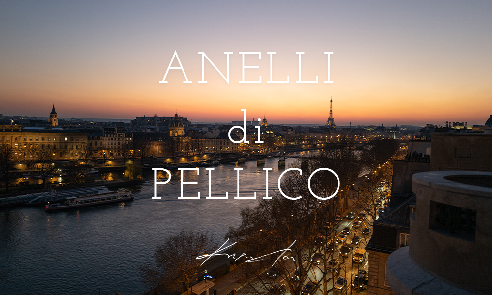 ANELLI di PELLICO