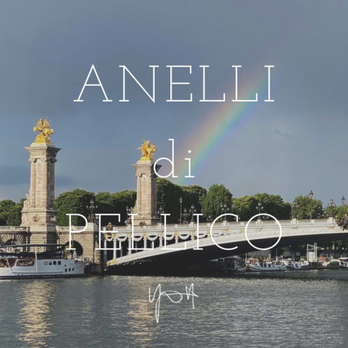 ANELLI di PELLICO