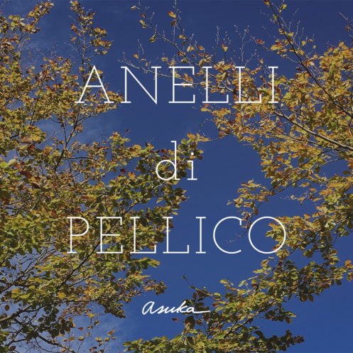 ANELLI di PELLICO