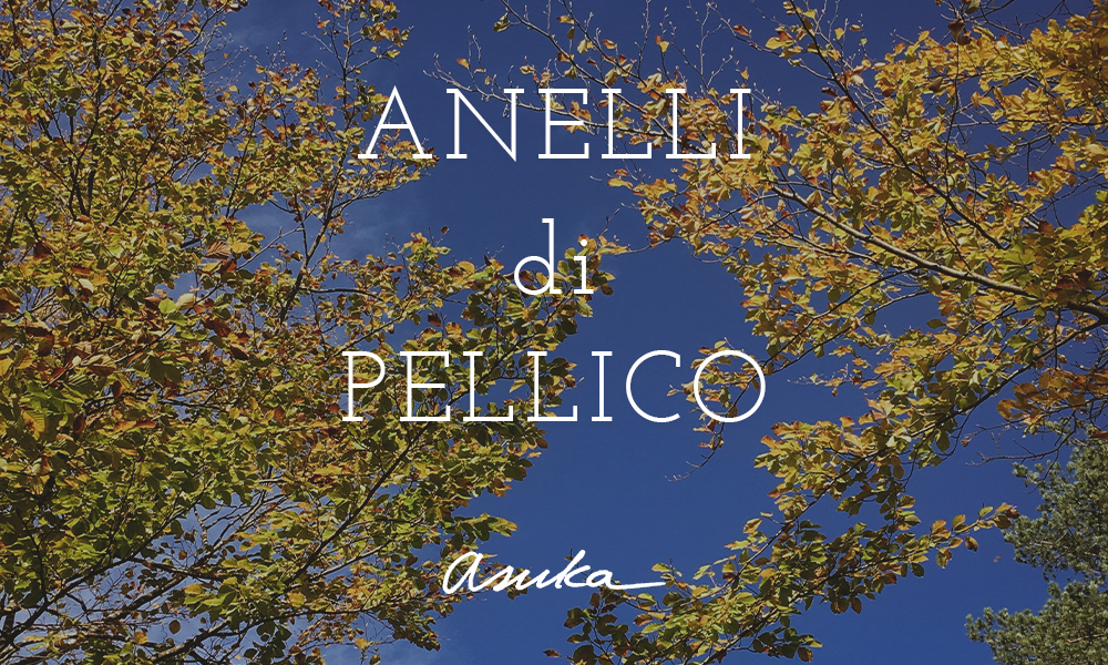 ANELLI di PELLICO