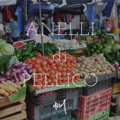 ANELLI di PELLICO